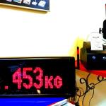 BİLTER / BLT T18 Tartım İndikatörü