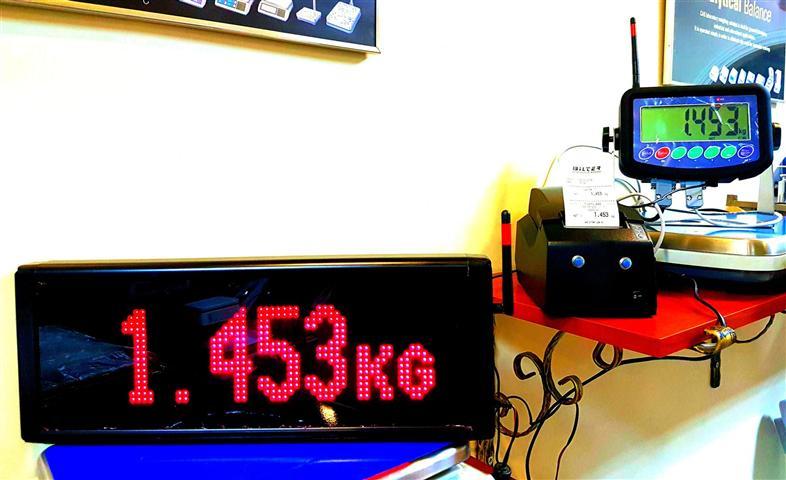 BİLTER / BLT T18 Tartım İndikatörü